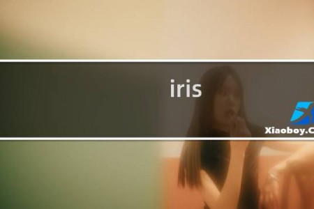 iris 电影